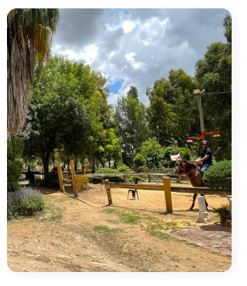 רוכבים בטבע רכיבה טיפולית לחיילי וחיילות מילואים