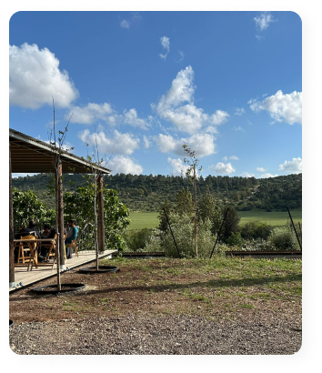 חוות ורטיגו טיפול בתנועה