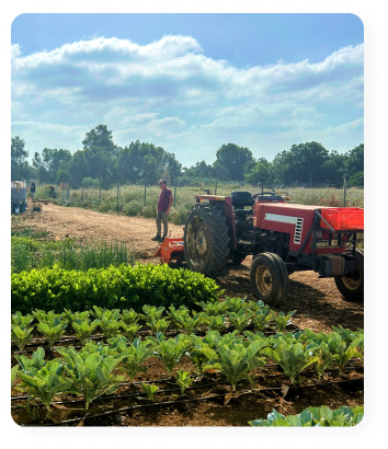 חווה חקלאית טיפול בפוסט טראומה