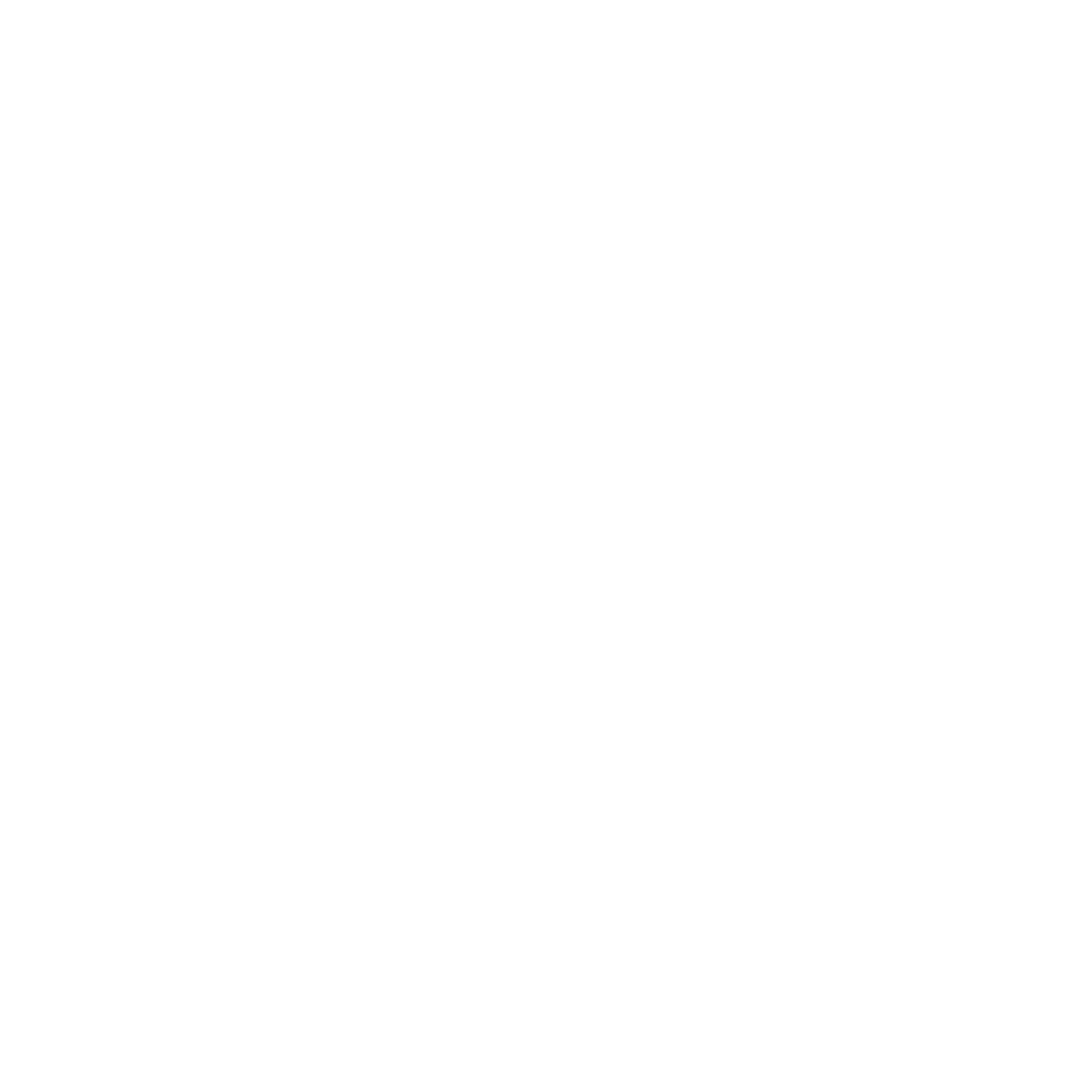 4 (4)