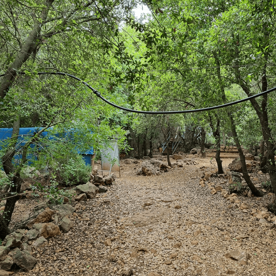 חוות יער יודפת