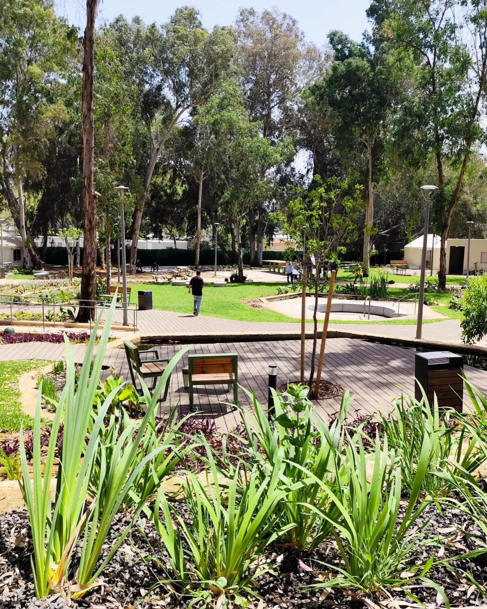 האלמנט החמישי – שיבא